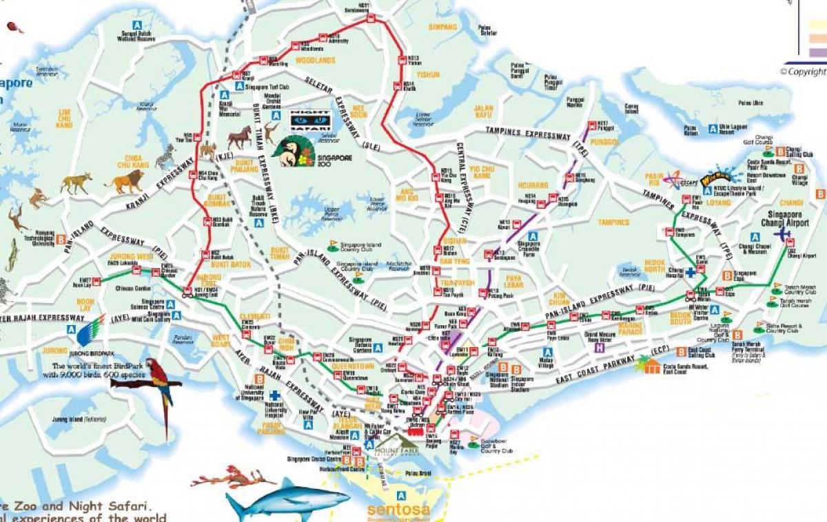 kelių žemėlapis Singapūras