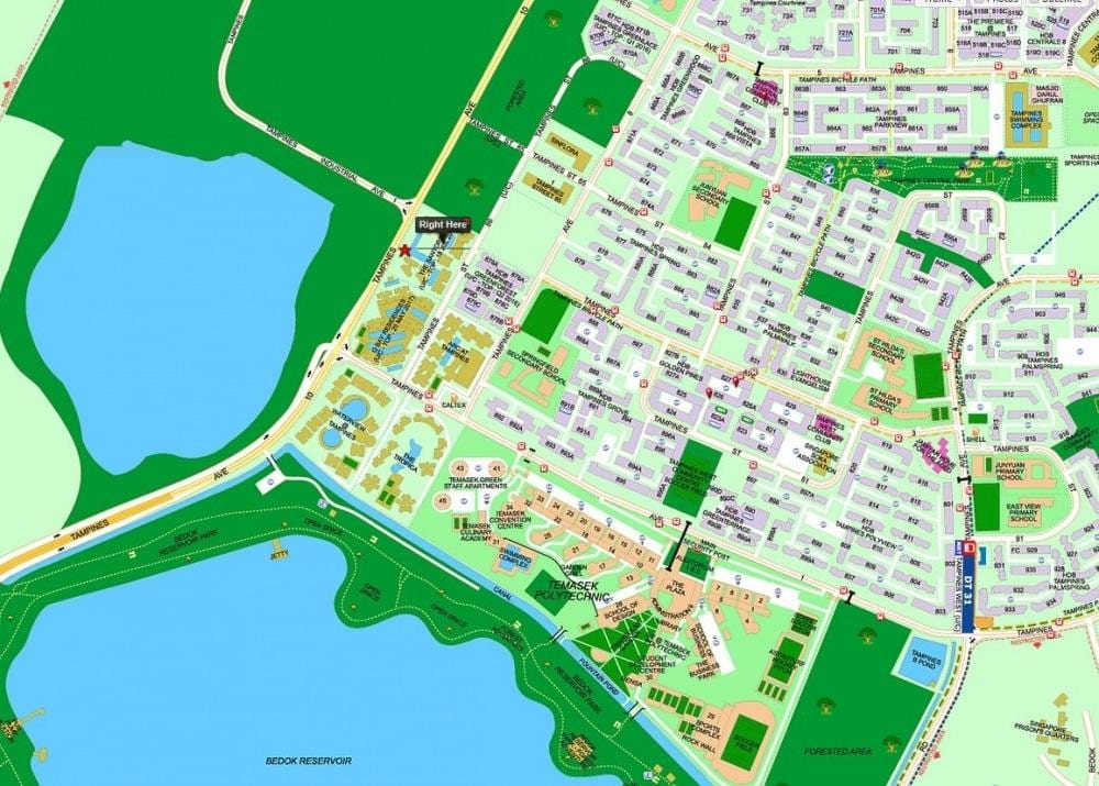 žemėlapis tampines Singapūras