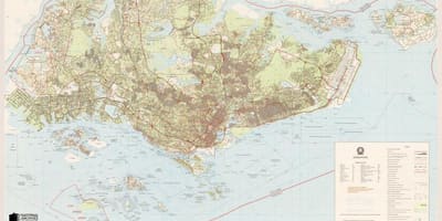 Žemėlapis Singapūras topografinis