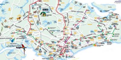 Kelių žemėlapis Singapūras